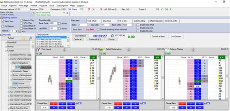 The Best Betfair Trading Software 2024: Our Honest Review.